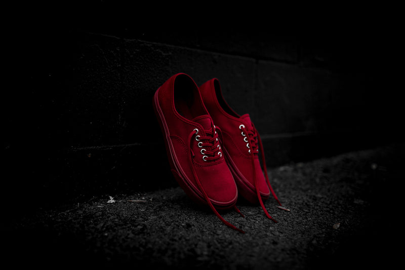 Vans Primary Mono Authentic (Red/Silver) - 4.5 Sneakers Vans Primary Mono Authentic (Red/Silver) - 4.5 -shooos shop