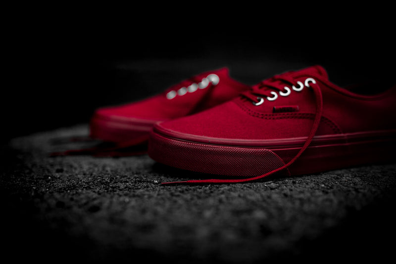 Vans Primary Mono Authentic (Red/Silver) - 4.5 Sneakers Vans Primary Mono Authentic (Red/Silver) - 4.5 -shooos shop