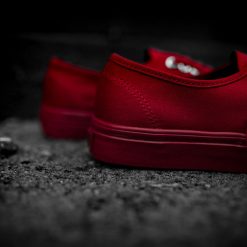 Sneakers Vans Primary Mono Authentic (Red/Silver) - 4.5 3 Sneakers Vans Primary Mono Authentic (Red/Silver) - 4.5 -shooos shop Vans PrimaryMonoAuthentic RedSilver 4 800x
