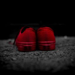 Sneakers Vans Primary Mono Authentic (Red/Silver) - 4.5 7 Sneakers Vans Primary Mono Authentic (Red/Silver) - 4.5 -shooos shop Vans PrimaryMonoAuthentic RedSilver 5 800x