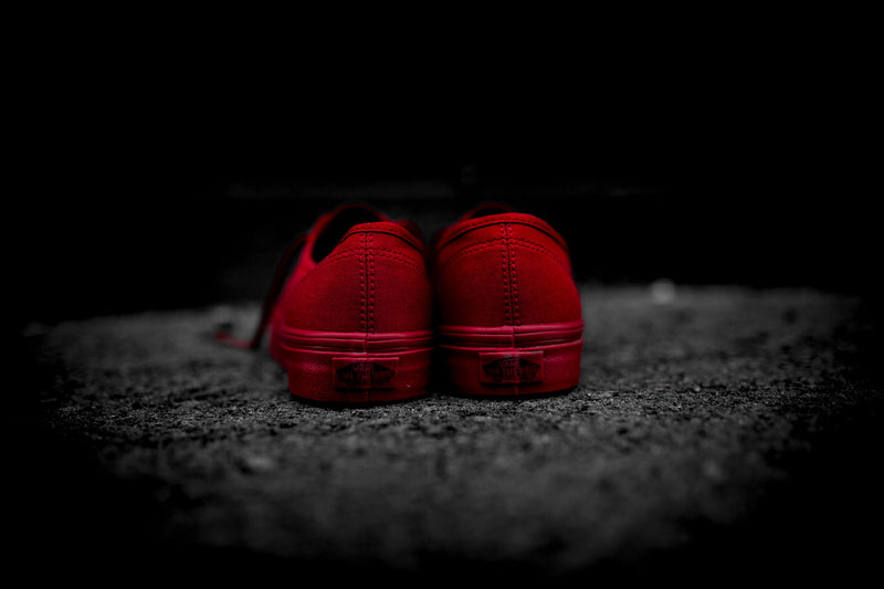 Vans Primary Mono Authentic (Red/Silver) - 4.5 Sneakers Vans Primary Mono Authentic (Red/Silver) - 4.5 -shooos shop