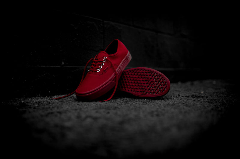 Vans Primary Mono Authentic (Red/Silver) - 4.5 Sneakers Vans Primary Mono Authentic (Red/Silver) - 4.5 -shooos shop